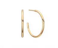 Hamilton Collection 14k Yellow Gold 20mm Hoop Earrings